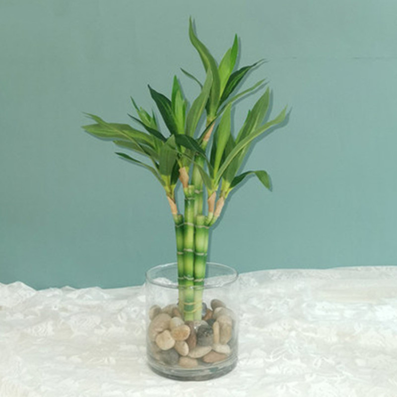 Aquarium Fish Buy - Nieuwe 40 cm rFtificial Lucky Bamboe