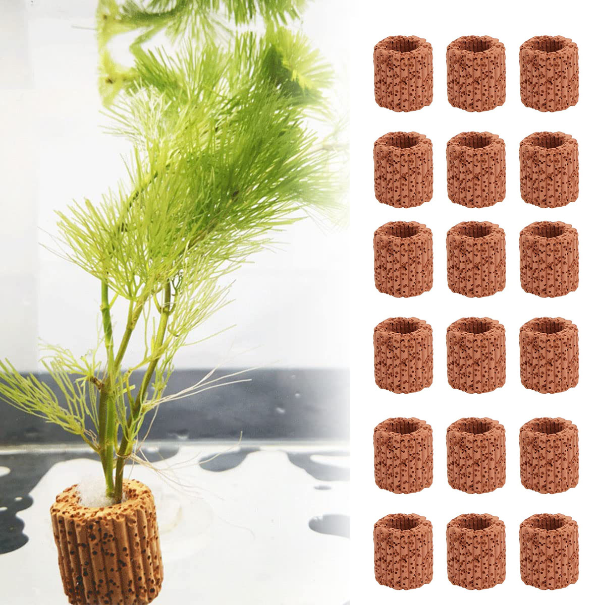 Aquarium Fish Pot - 10/20Pcs Aquatisch Water Plant Vaste Ring