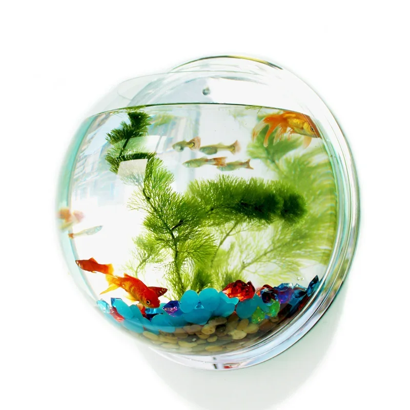Aquarium Fish Background - Pinsjar Acryl Viskom Muuropknoping Aquarium Tank