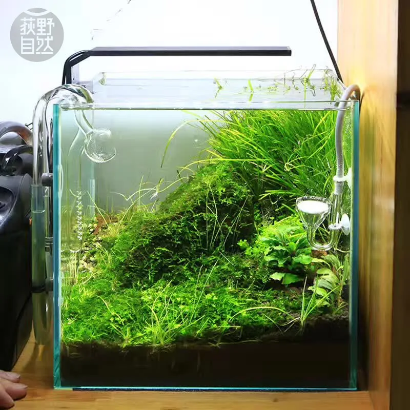 Aquarium Fish Background - Spiritedos C-serie ADA-stijl Plant Grow LED-licht