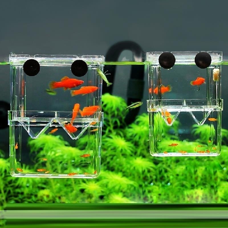 Aquarium Fish Background - Multifunctioneel Visaquarium Hoge Heldere Viskwekerij Isolatiebox