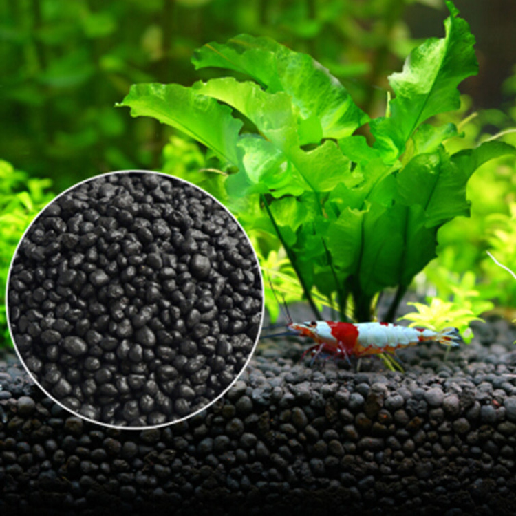 Aquarium Fish Buy - Aquarium Plant Zaden Bodem Fishtank Substraat
