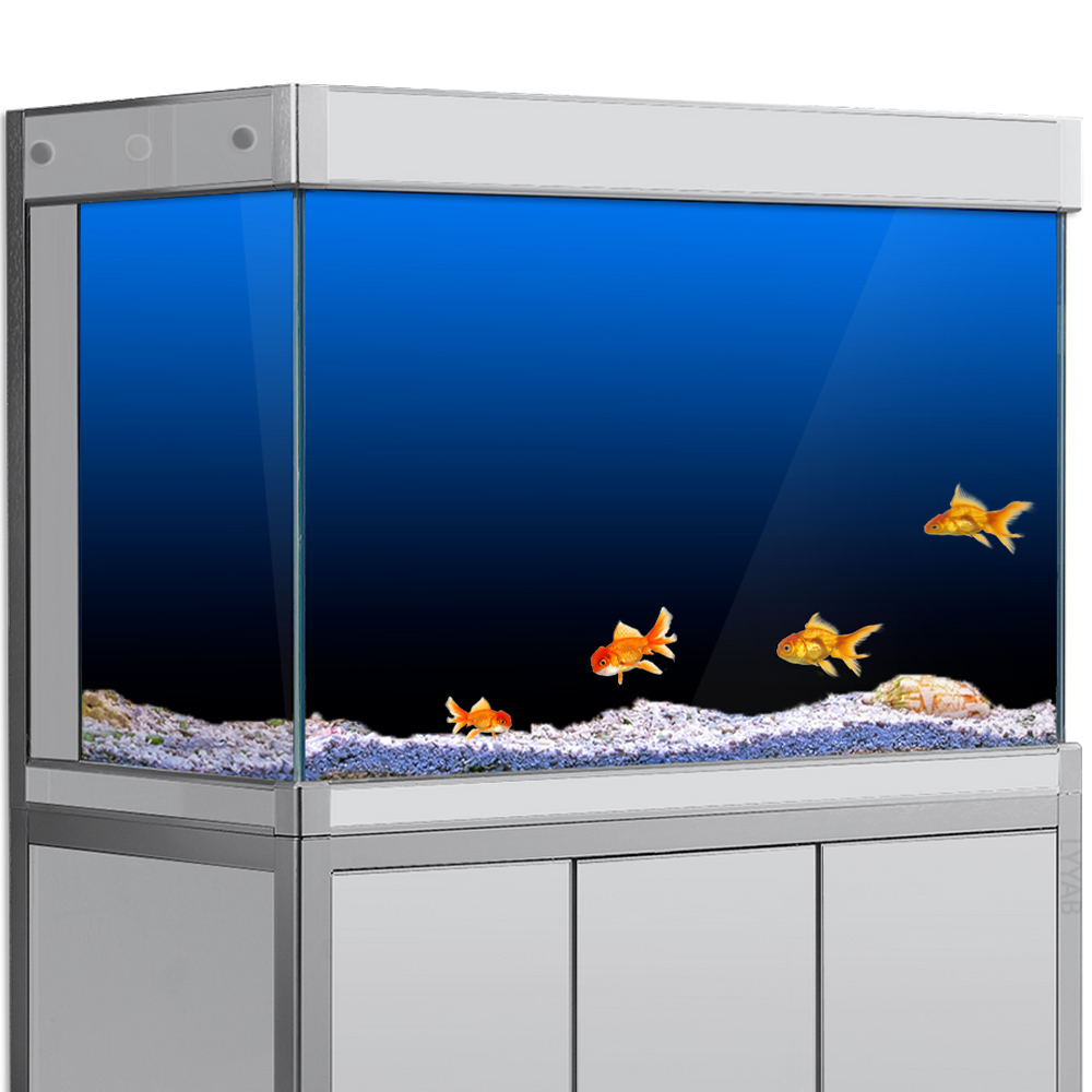 Aquarium Fish Background - Aquarium Achtergrond Sticker Zwart Groen Blauw