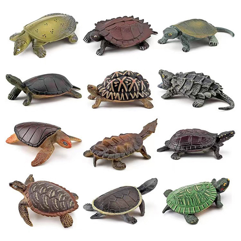 Aquarium Fish For Beginners - Realistische Schildpad Action Figure Dieren Beeldjes