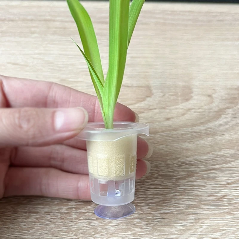 Aquarium Fish Pot - 50 pcs/10 pcs Aquarium Planten Mand