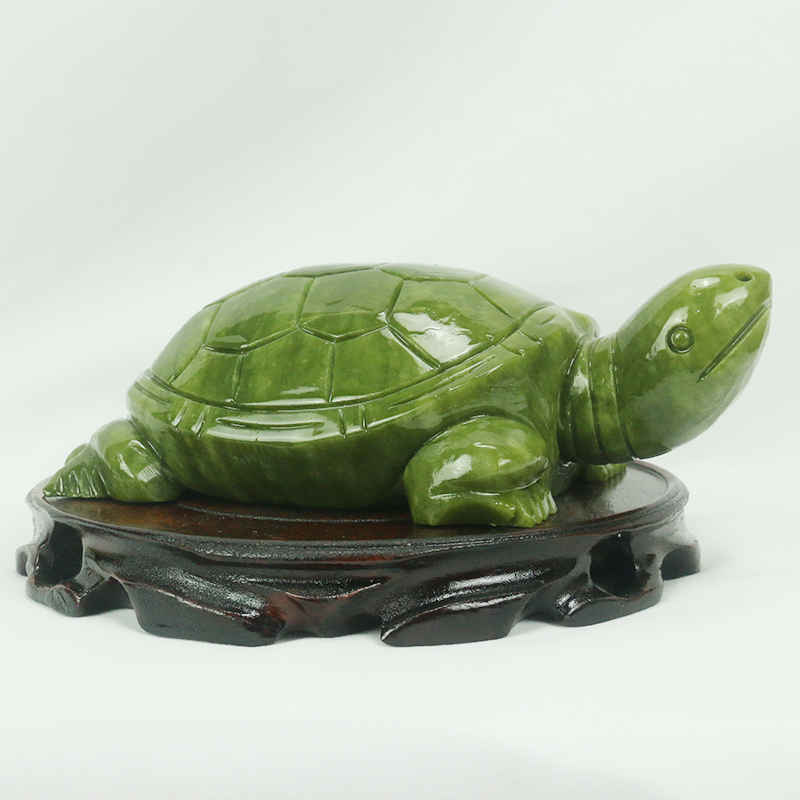 Natuurlijke Jade/schildpad Scu - Aquarium Fish Gallery recensie en prijs