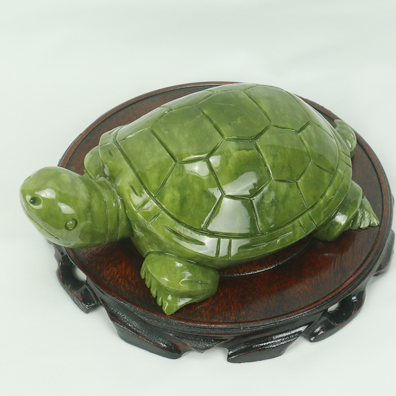 Natuurlijke Jade/schildpad Scu - Aquarium Fish Gallery recensie en prijs