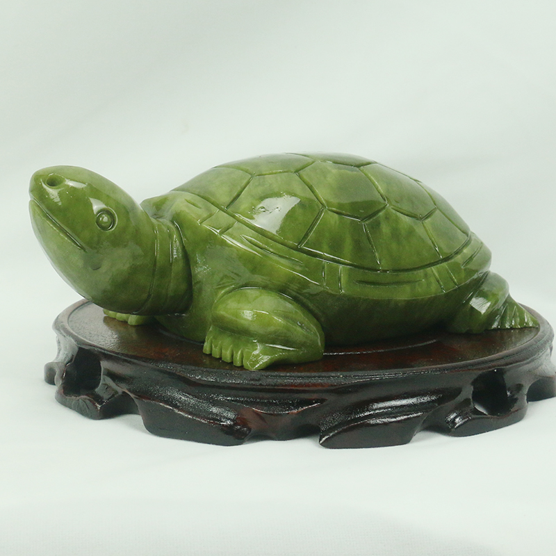 Natuurlijke Jade/schildpad Scu - Aquarium Fish Gallery recensie en prijs