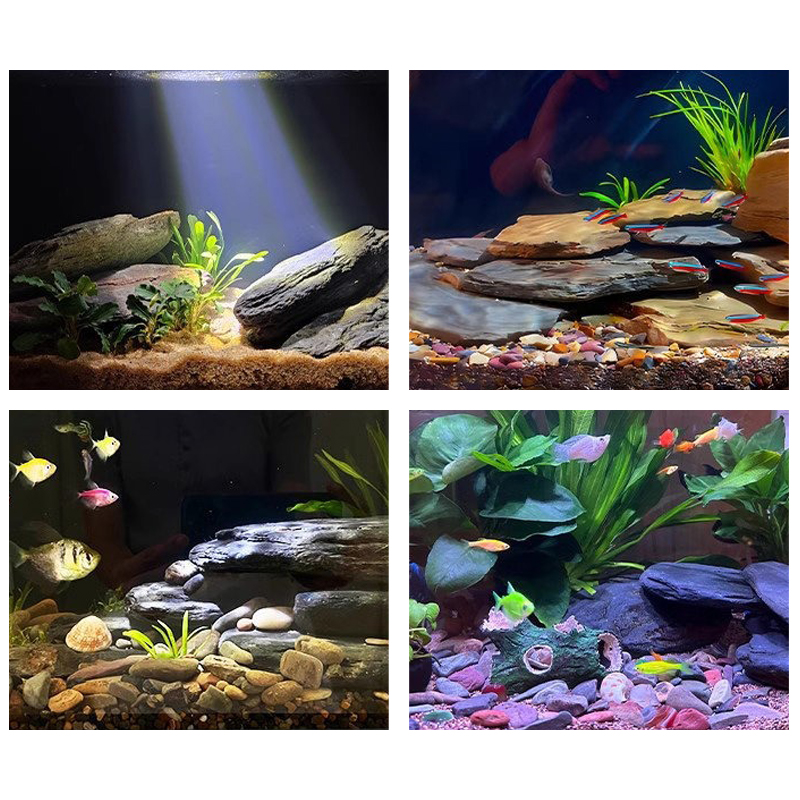 500/1000g Aquarium Landschap S - Aquarium Fish Gallery recensie en prijs