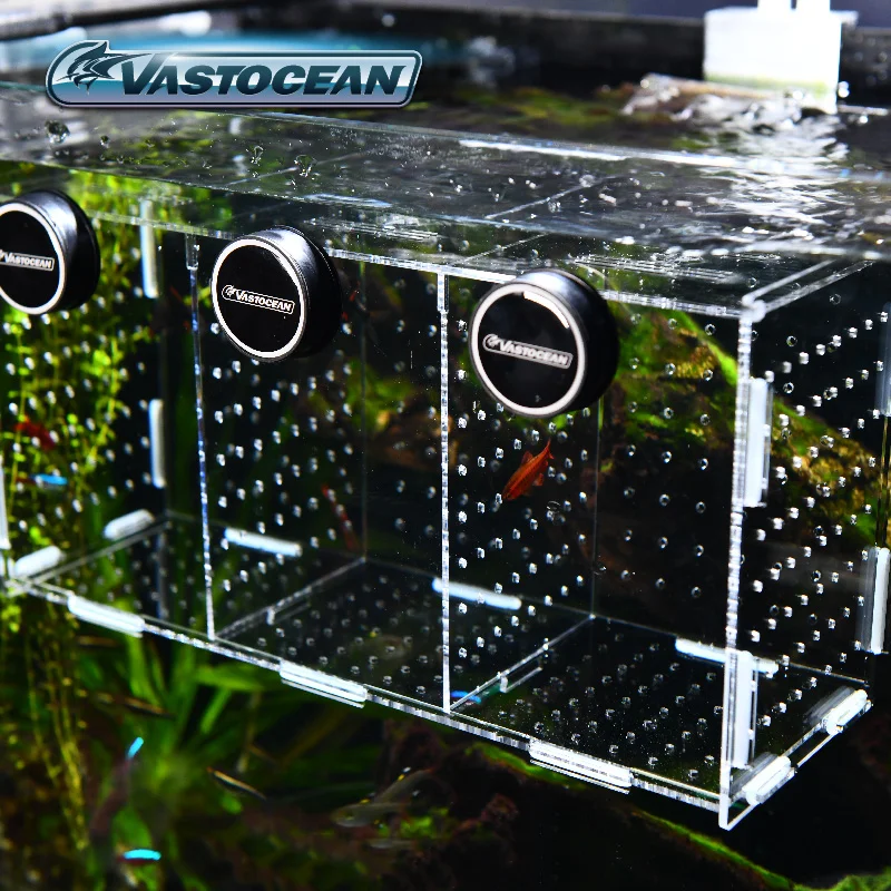 VASTOCEAN Aquarium Magnetische - Aquarium Fish Real recensie en prijs
