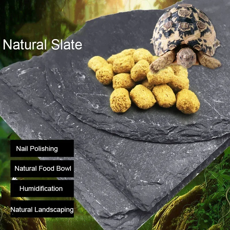 Natuurlijk Leisteen Aquarium R - Aquarium Fish Pot recensie en prijs