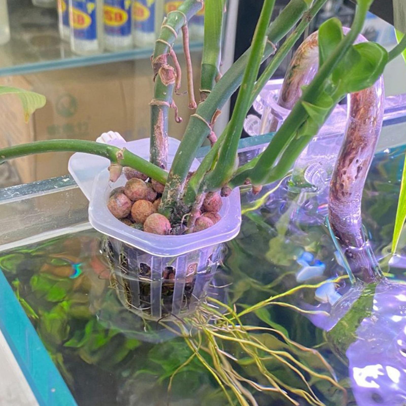 Hydrocultuur plantenhangerhoud - Aquarium Fish Elevator recensie en prijs