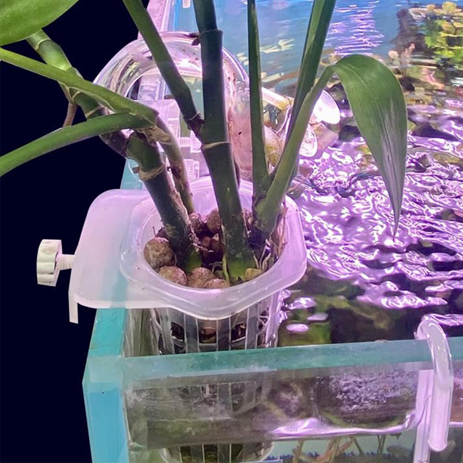 Hydrocultuur plantenhangerhoud - Aquarium Fish Elevator recensie en prijs