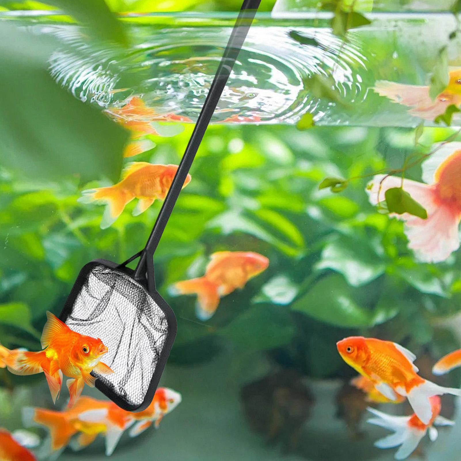 Zwembadnetten voor het reinige - Aquarium Fish Buy recensie en prijs