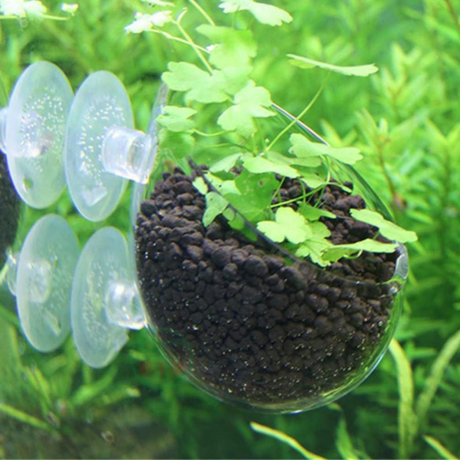 Aquariumplantenhouder Glazen A - Aquarium Fish Pot recensie en prijs