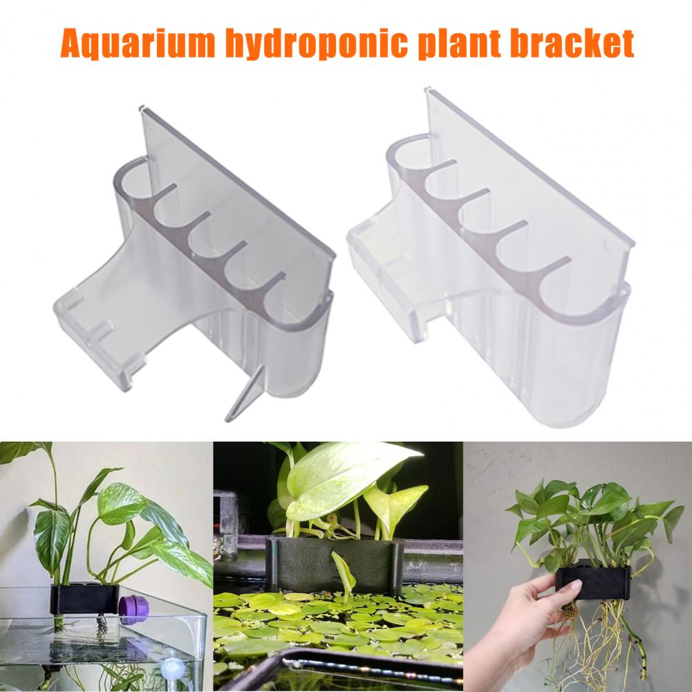 4.5/6.5 Cm Aquarium Plant Houd - Aquarium Fish Pot recensie en prijs