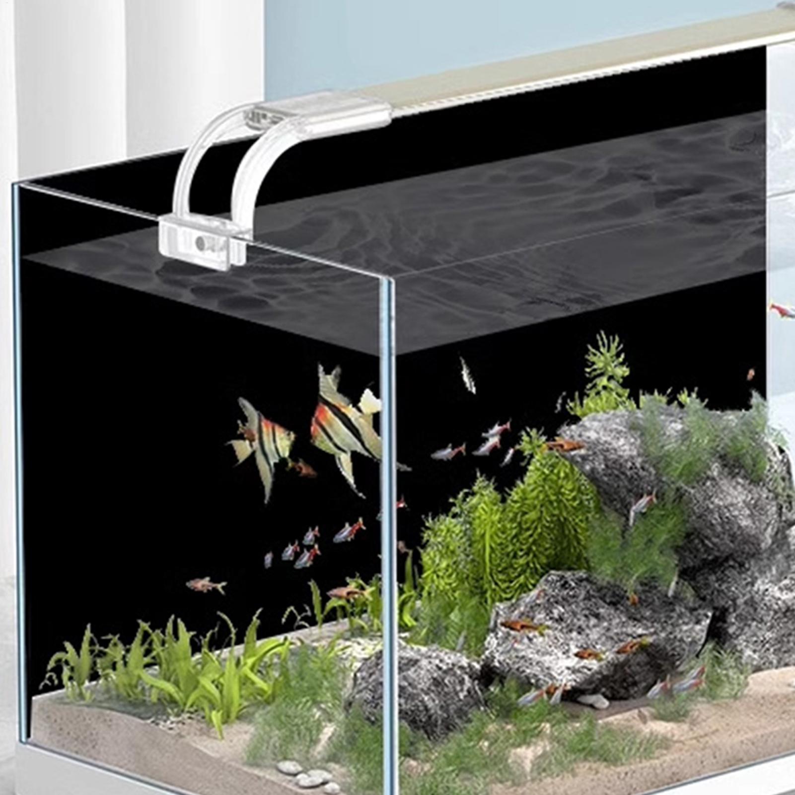 Zwarte aquarium achtergrond, s - Aquarium Fish Background recensie en prijs