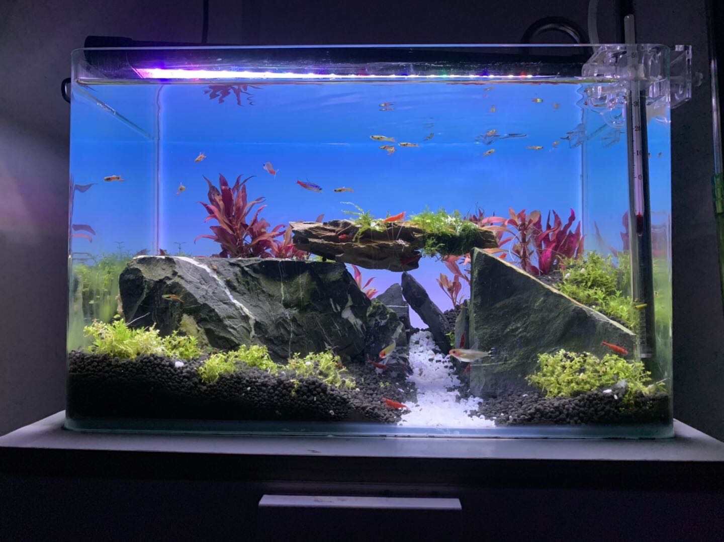 RGB Kleurveranderende Aquarium - Aquarium Fish Background recensie en prijs