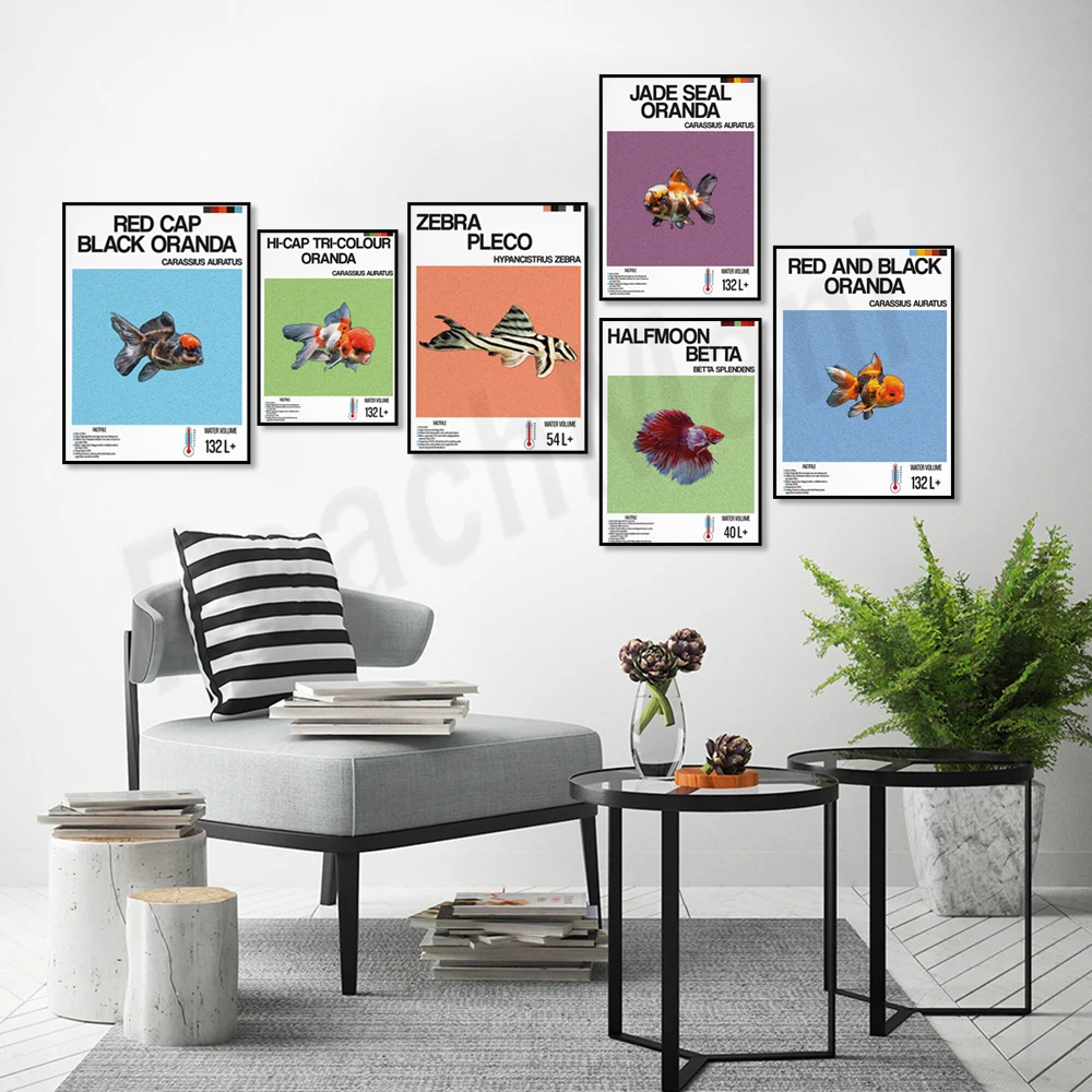 Visinformatie print, siervisse - Aquarium Fish Zebra recensie en prijs