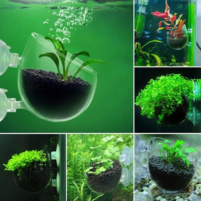 Aquariumdecoratie Plantenbeker - Aquarium Fish Pot recensie en prijs