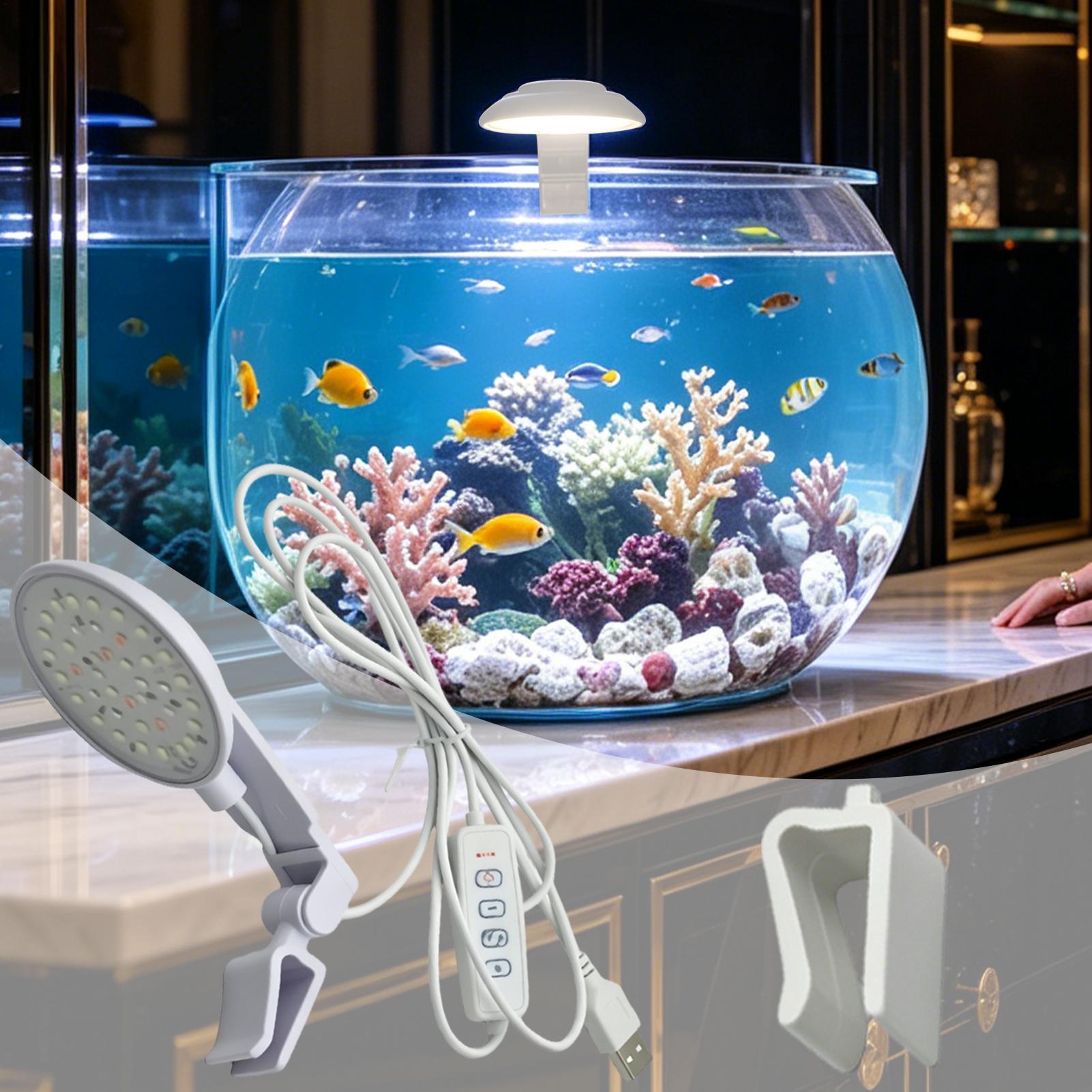 Aquarium Led-licht Waterdichte - Aquarium Fish For Beginners recensie en prijs
