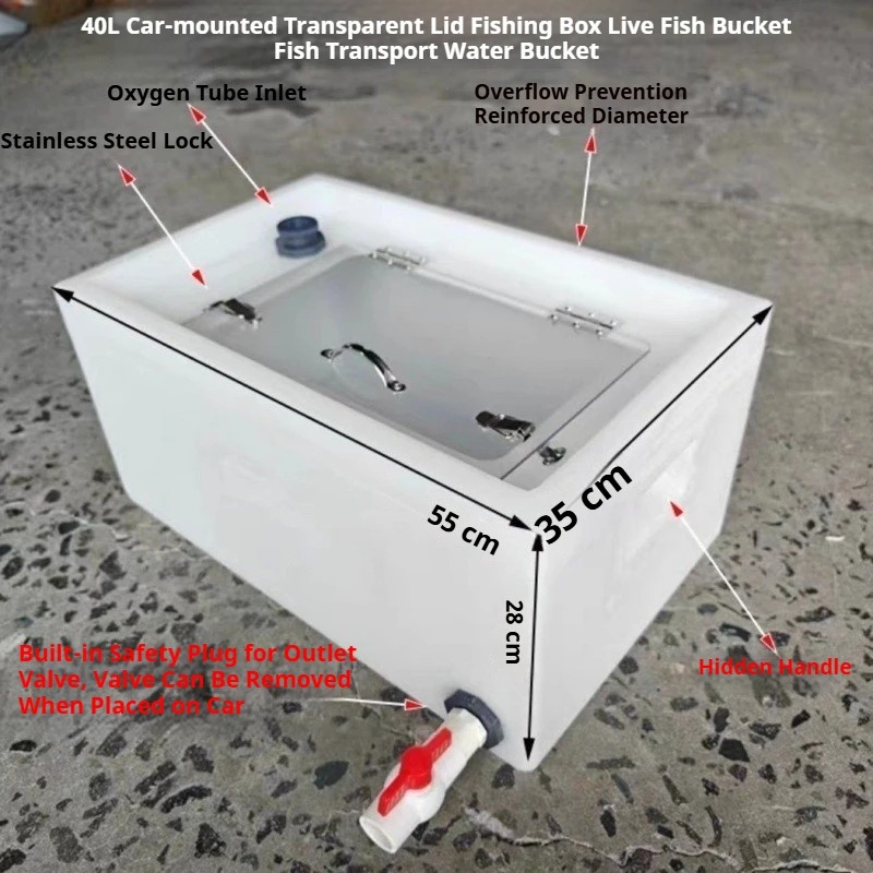 Levende Vis Emmers Verdikte 40 - Aquarium Fish Buy recensie en prijs