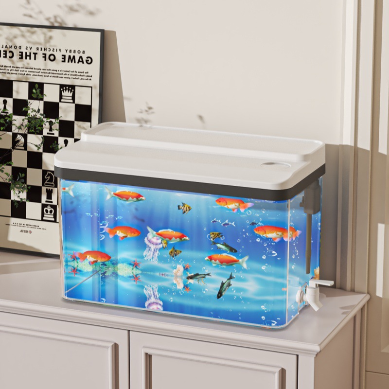 Kleine Desktop Betta Aquarium  - Aquarium Fish For Beginners recensie en prijs