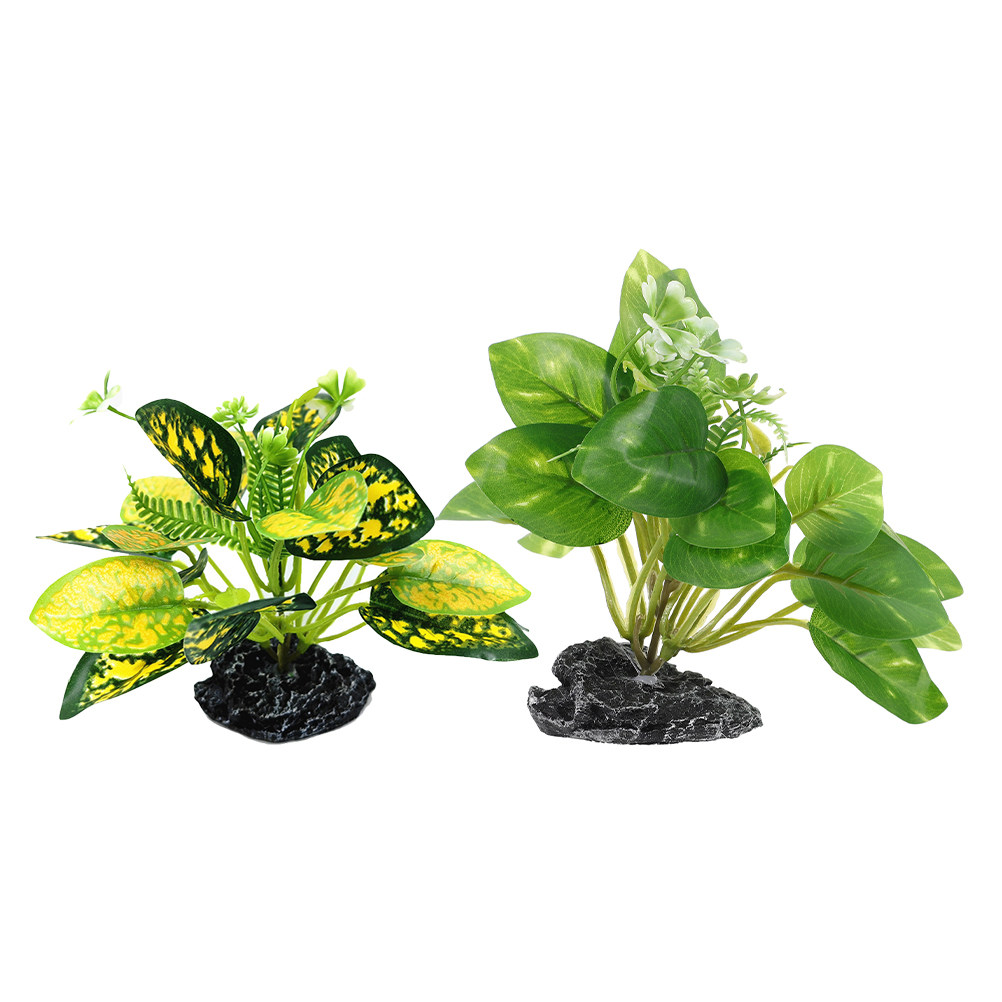 2 stuks waterplant bonsai nepp - Aquarium Fish Low Maintenance recensie en prijs