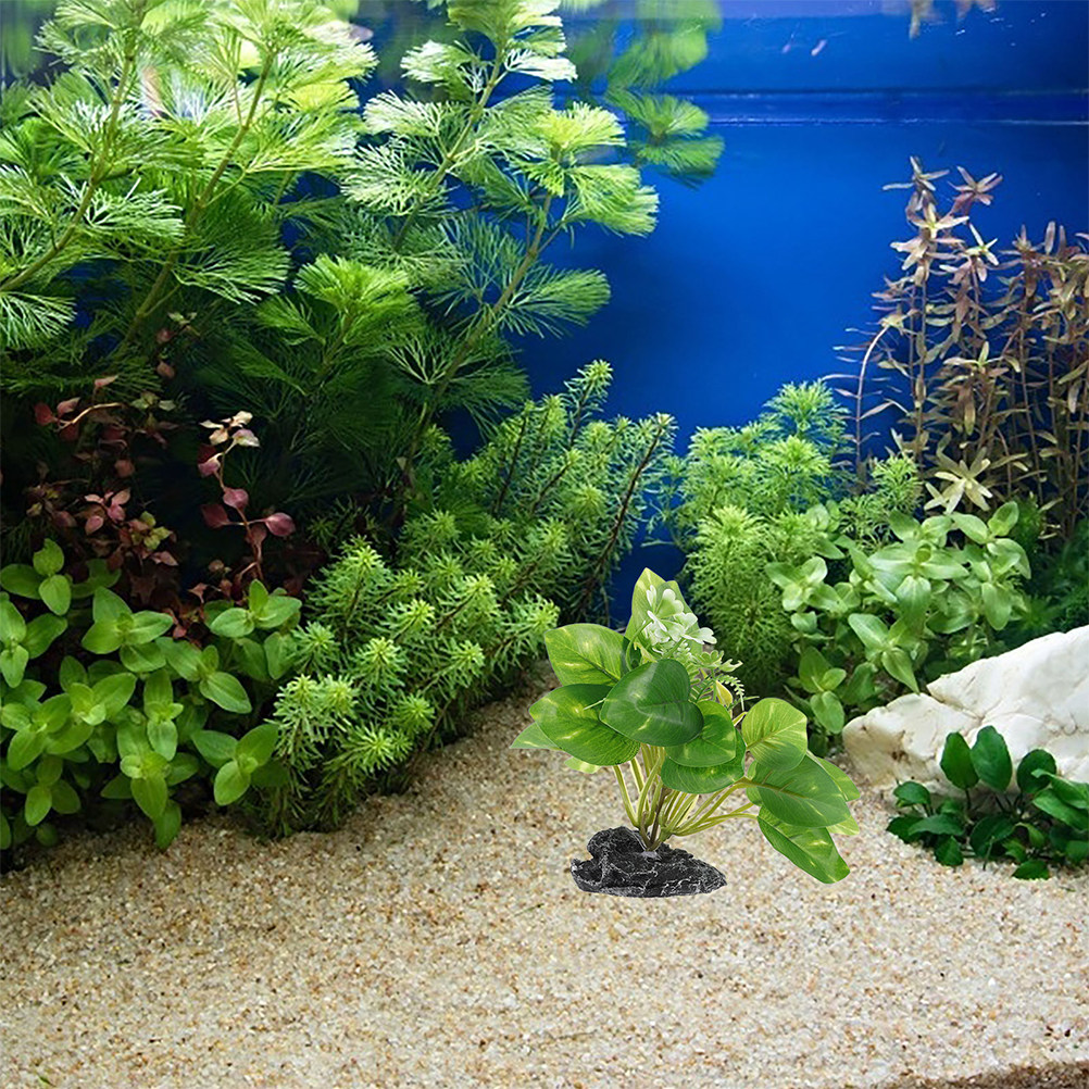 2 stuks waterplant bonsai nepp - Aquarium Fish Low Maintenance recensie en prijs