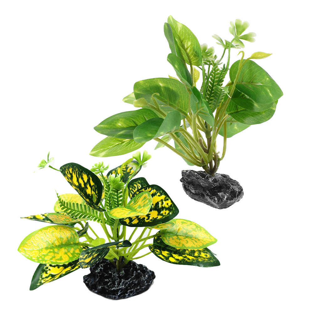 2 stuks waterplant bonsai nepp - Aquarium Fish Low Maintenance recensie en prijs
