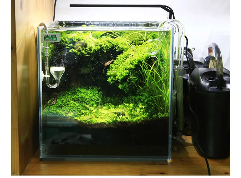 Spiritedos C-serie ADA-stijl P - Aquarium Fish Background recensie en prijs