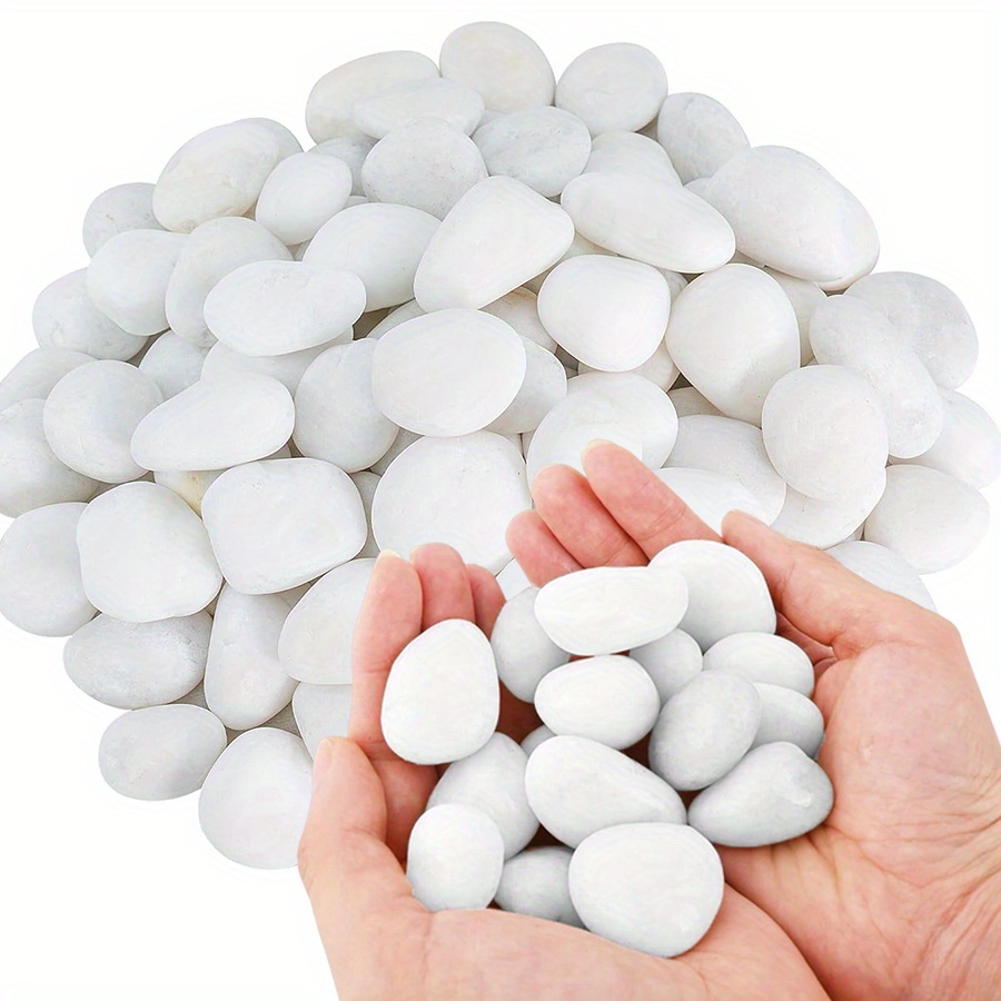 200/400g Witte Hooggepolijste  - Aquarium Fish Buy recensie en prijs