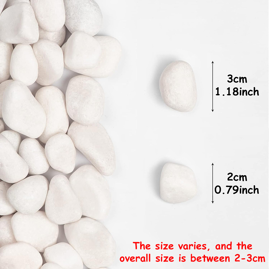 200/400g Witte Hooggepolijste  - Aquarium Fish Buy recensie en prijs