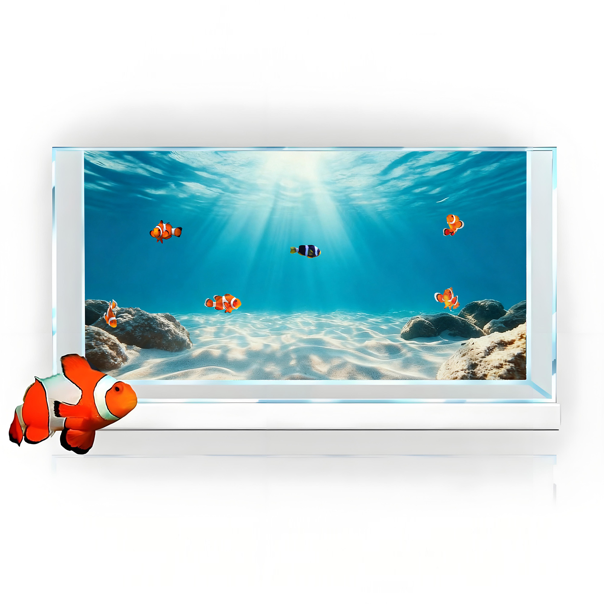 Blauwe zee, helder zand, achte - Aquarium Fish Background recensie en prijs