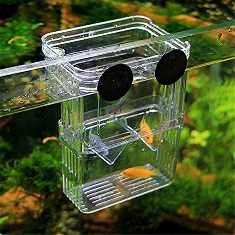 Multifunctioneel Visaquarium H - Aquarium Fish Background recensie en prijs