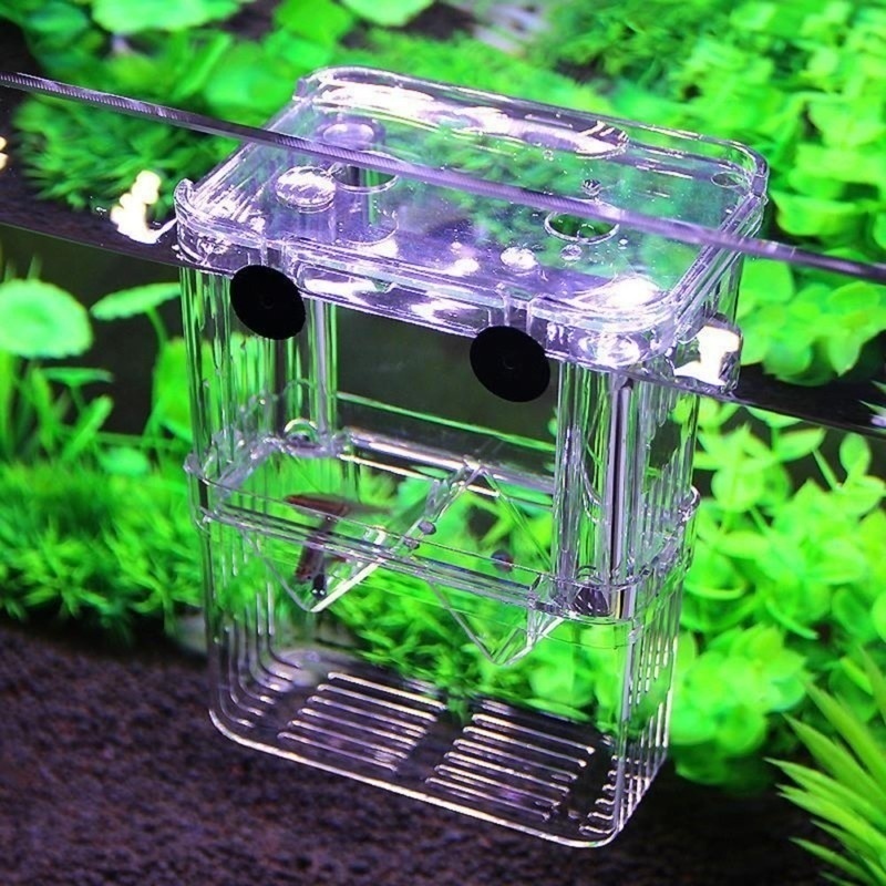 Multifunctioneel Visaquarium H - Aquarium Fish Background recensie en prijs