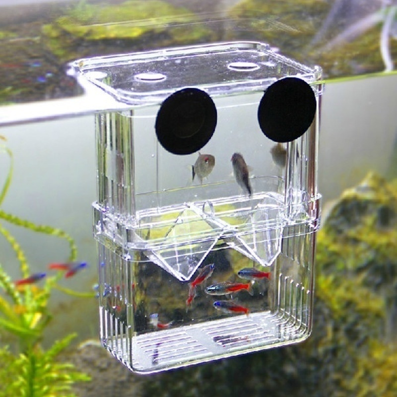 Multifunctioneel Visaquarium H - Aquarium Fish Background recensie en prijs