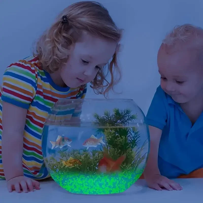 1000 stks 3-5mm Lichtgevende Z - Aquarium Fish Real recensie en prijs