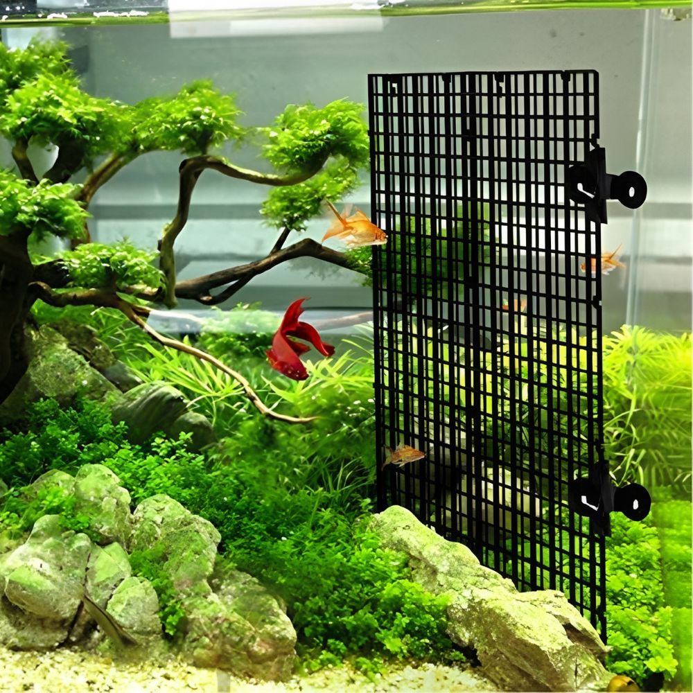 14 stuks zwart plastic aquariu - Aquarium Fish Elevator recensie en prijs