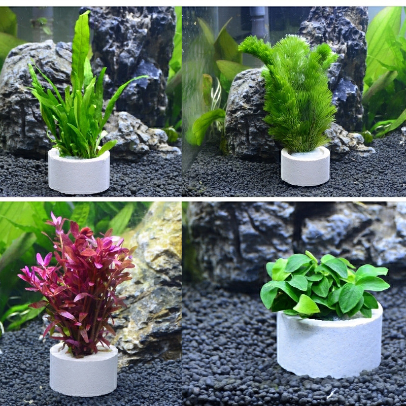 Aquariumdecoratie keramische r - Aquarium Fish Pot recensie en prijs