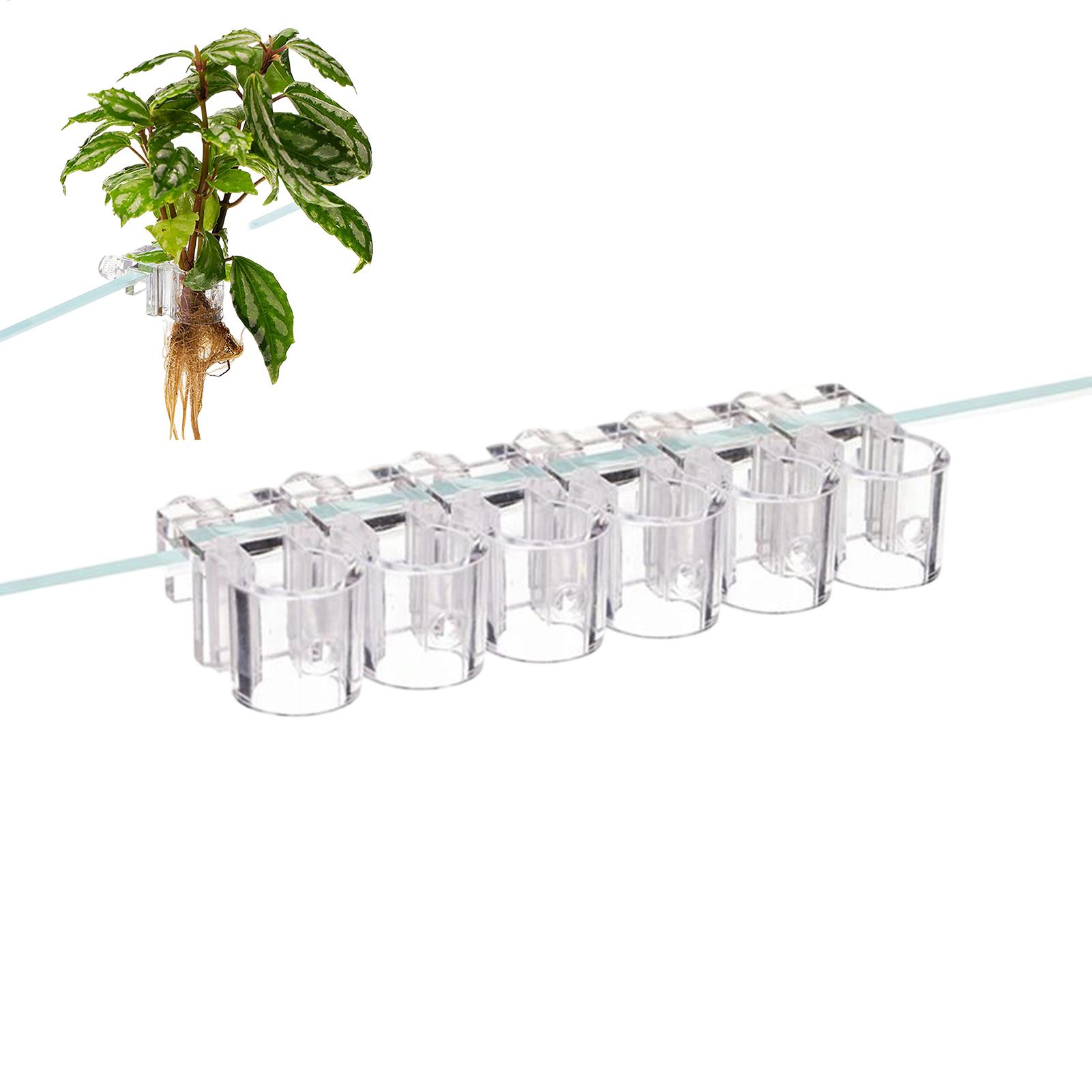 Mini Aquarium Plantenbak 6 Stu - Aquarium Fish Pot recensie en prijs