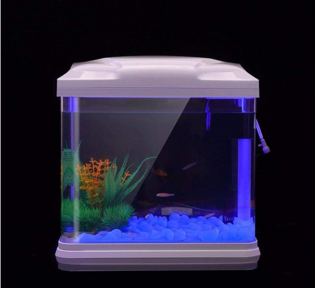 Aquarium Rotsen Glow Blue Kiez - Aquarium Fish Buy recensie en prijs
