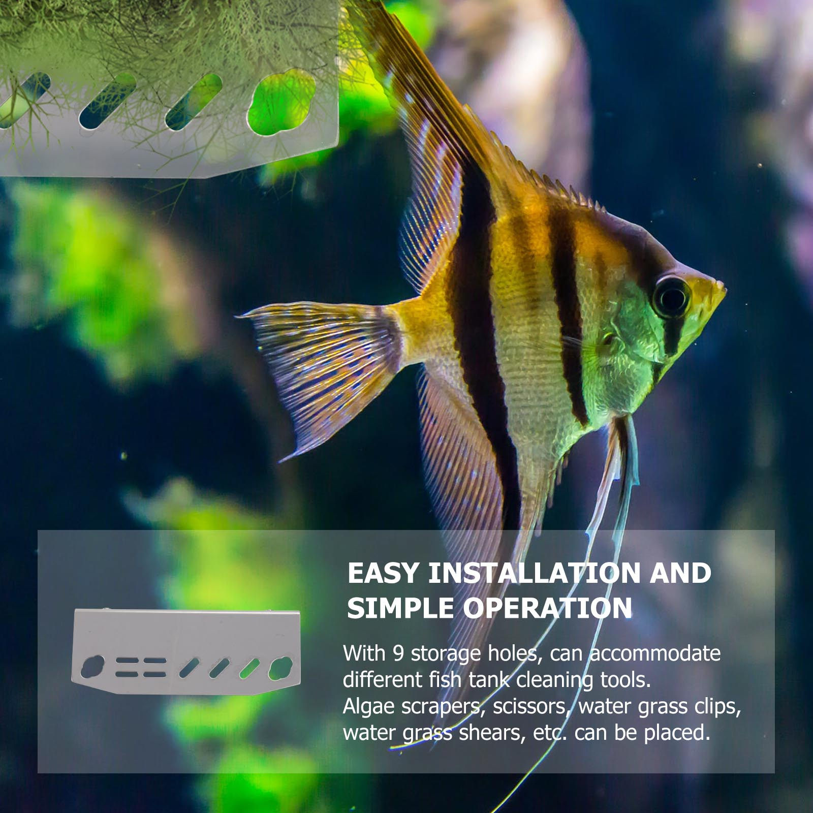 1 Stuks Aquarium Gereedschapsr - Aquarium Fish Maintenance recensie en prijs