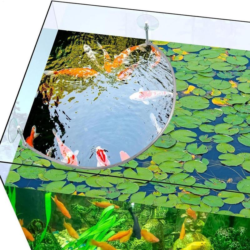 Drijvende plant Corral Fish Fe - Aquarium Fish Real recensie en prijs