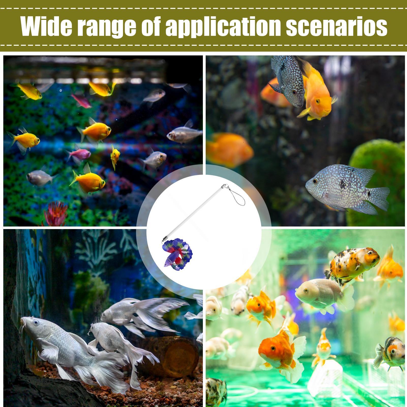 Vis trainingsstaafje voor Bett - Aquarium Fish For Beginners recensie en prijs