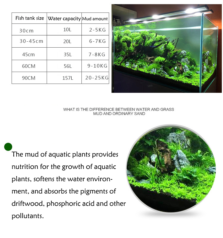 Aquarium Plant Zaden Bodem Fis - Aquarium Fish Buy recensie en prijs