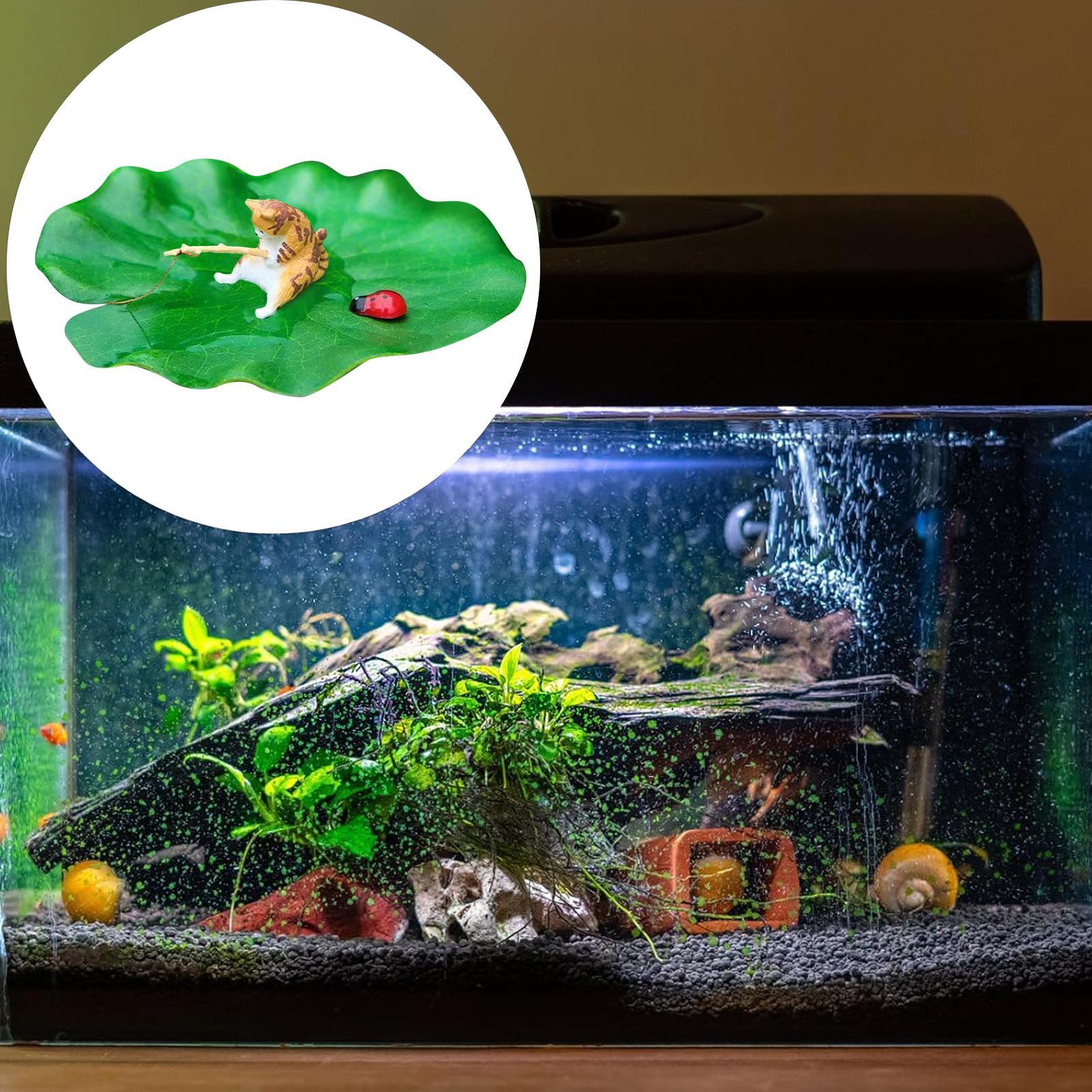 Aquariumdecoratie Drijvende ka - Aquarium Fish For Beginners recensie en prijs
