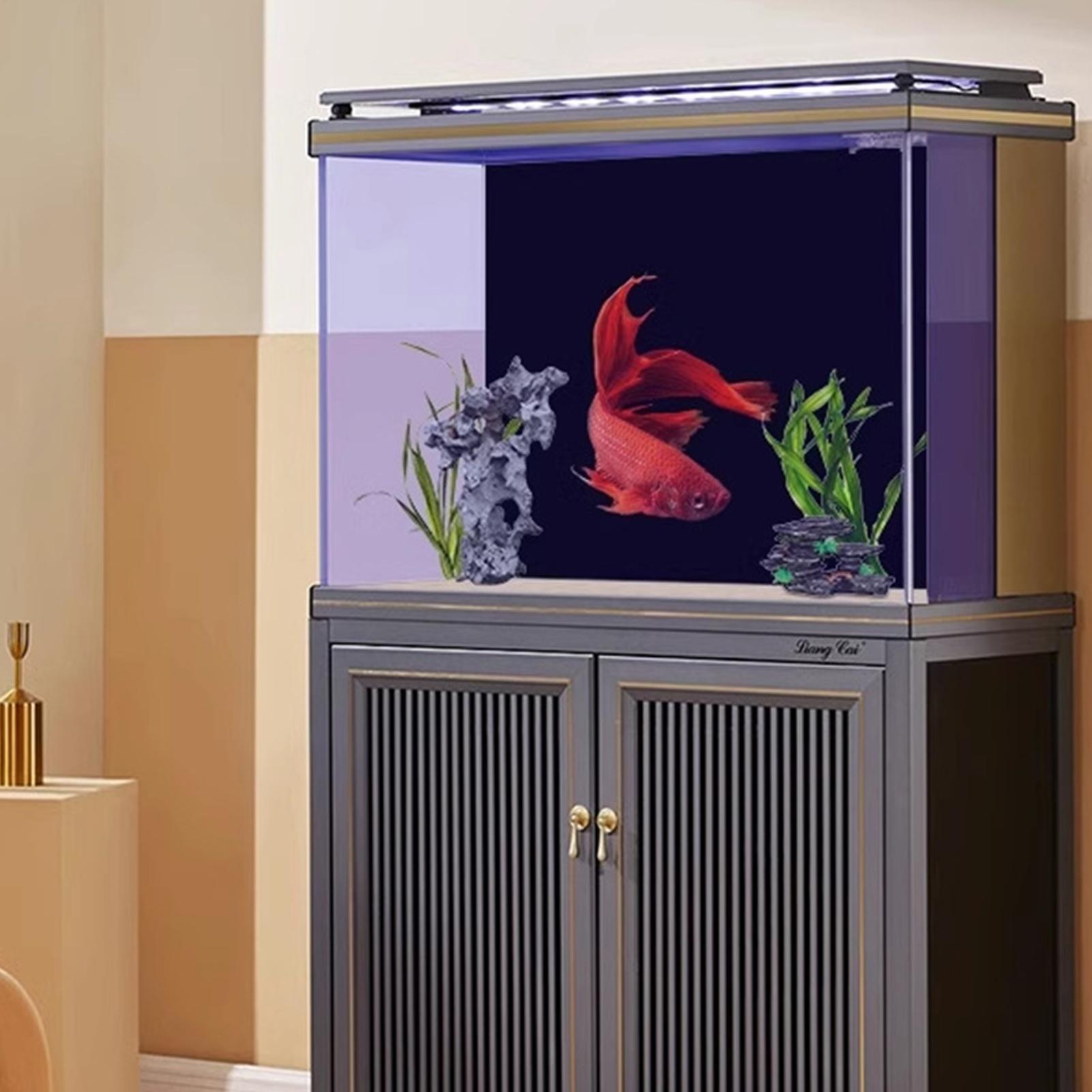 Achtergrond voor aquarium Stat - Aquarium Fish Elevator recensie en prijs