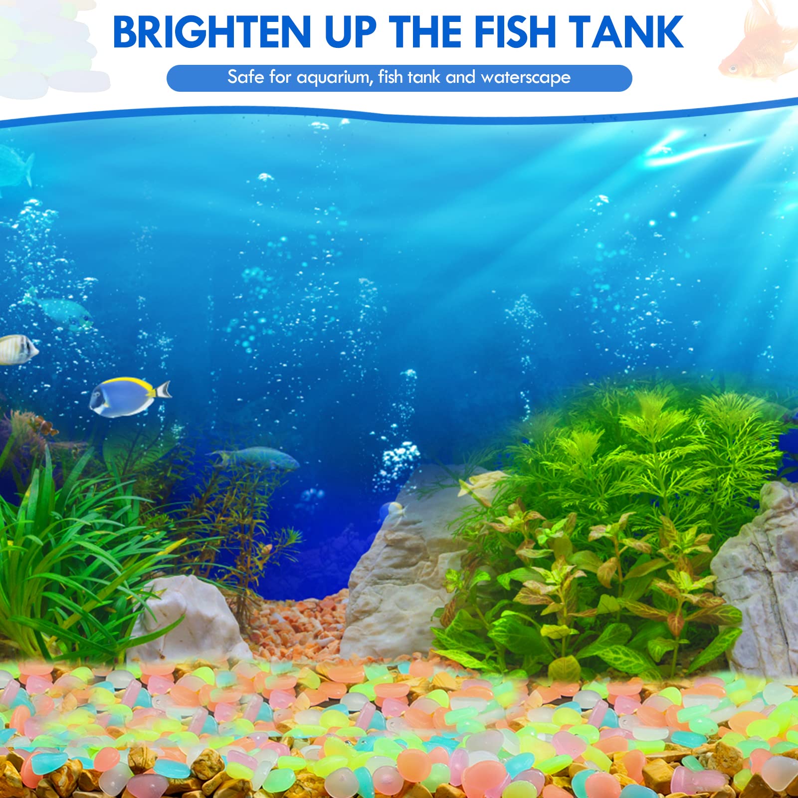 100 Stuks Glow in The Dark Tui - Aquarium Fish Gallery recensie en prijs
