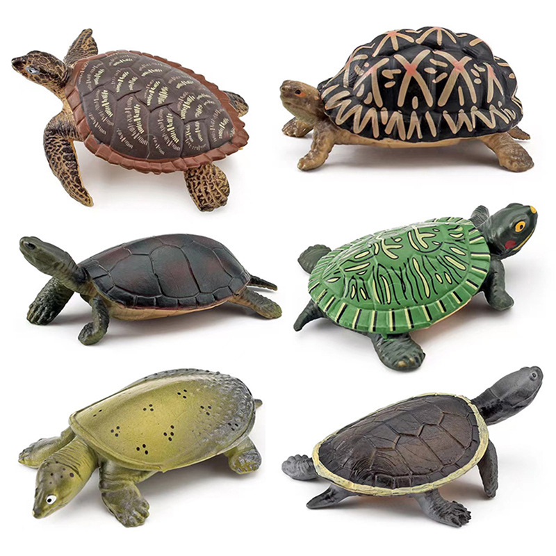 Realistische Schildpad Action  - Aquarium Fish For Beginners recensie en prijs
